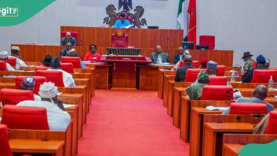 Adeola and Bichi’s synergy lauded in 2025 budget approval