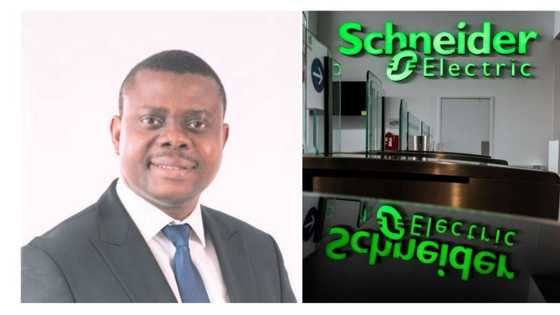 Managers power services is the next big thing in the power sector, Schneider Electric says