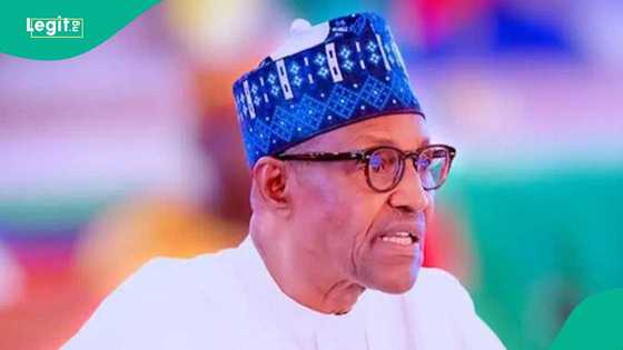 Mamman Daura: Bayanai sun fara fito wa kan rasuwar Muhammadu Buhari