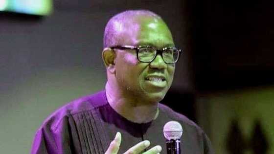 2023 presidency: "My plan for Boko Haram, bandits, IPOB, others", Peter Obi reveals