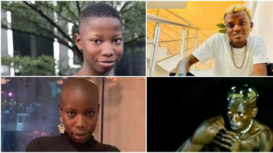 "Emanuella and Portable dey disguise": Nigerians compare BBNaija's Hermes and Allysyn to comedian and singer
