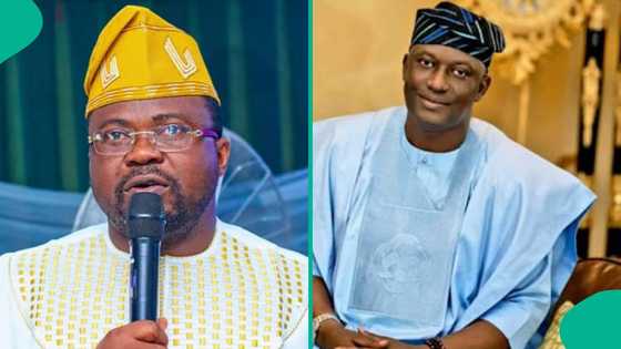 "You're a bridge builder": Influential PDP chieftain told