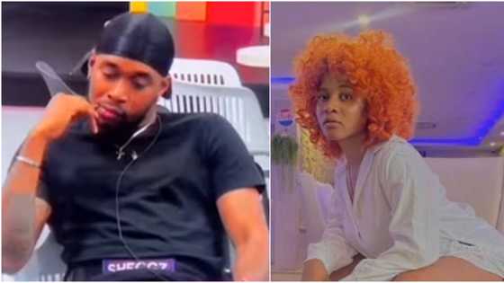Na your papa get Big Brother? Phyna and Sheggz engage in messy fight as other housemates try to separate them