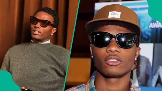 Wizkid jokingly shares his new career interest, FC reacts: "Very focused businessman"