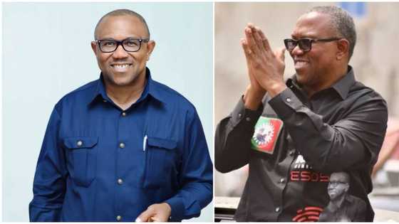 Zaben 2023: Shin Da Gaske Kotun Daukaka Kara Ta Sanar Da Peter Obi A Matsayin Wanda Ya Lashe Zabe? Bayanai Sun Fito