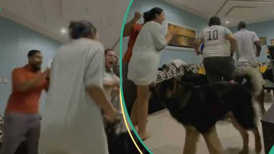 AFCON: Family dog’s happy reaction as Nigeria’s super eagle advances to final on penalty emerges