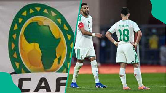 AFCON 2025: Algeria threatens legal action against CAF after quarterfinal loss to Nigeria