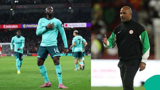 Super Eagles striker Tolu Arokodare replies Eric Chelle after getting snubbed for AFCON with beautiful goal