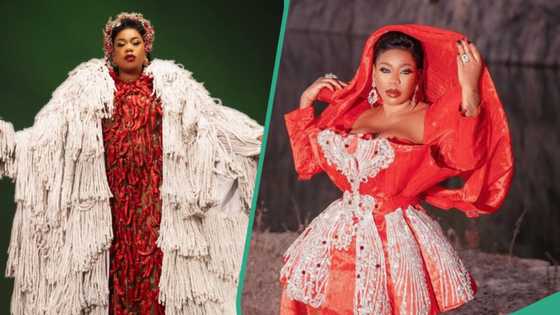 Toyin Lawani displays stylish rice-themed outfit, netizens react: "But the rice go hot"