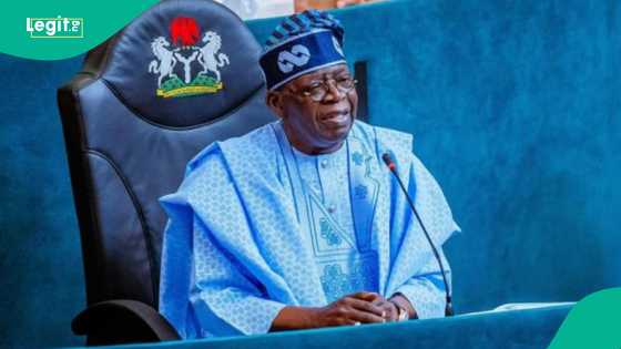 Bayan kotu ta nemi a soke ADC, Tinubu ya yi kira ga alkalai