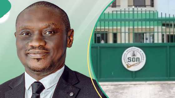 Dr. Ifeanyi Chukwunonso Okeke: New SON DG assumes office, outlines vision