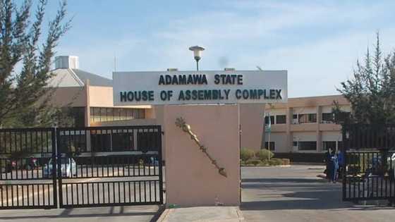 Ana rade radin sauya shekar gwamna, shugaban Majalisa da mambobi 14 sun yi murabus daga PDP