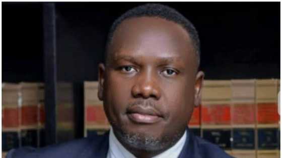 "INEC Ce" Tsohon kakakin kwamitin kamfen Atiku ya gano babbar matsalar da aka samu a zaben 2023