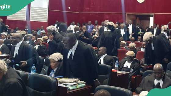 List of winners and losers emerge as 2023 election tribunals deliver judgements across Nigeria