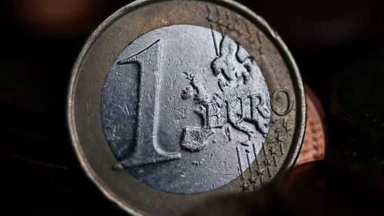 Euro knocked by European vote uncertainty