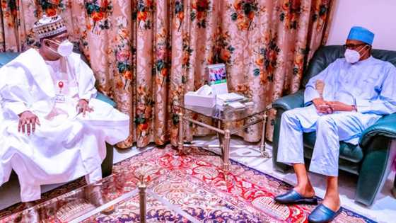 NDLEA Ta Yi Babban Kamu, Sai da Buhari Ya Kira Janar Buba Marwa ta Wayar Salula