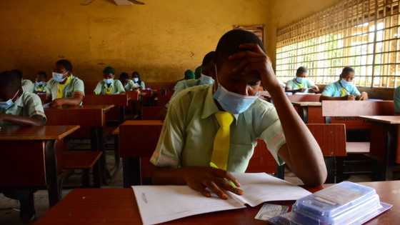 UTME 2021: JAMB discloses 2 reasons why it made NIN compulsory for registration