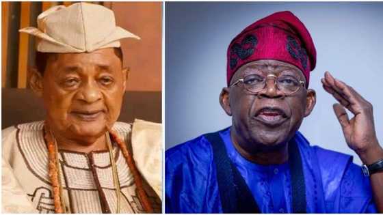 2023: Dan Wani Babban Sarki Da Ya Rasu Ya Fadi Dan Takarar Da Mahaifinsa Ya So Ganin Ya Gaji Buhari