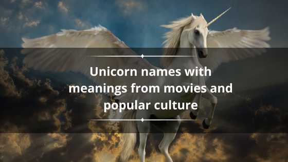 150+ unicorn names with meanings from movies and popular culture