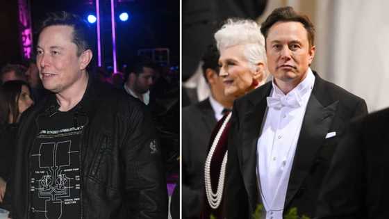 Elon Musk reportedly has twins with one of his top executives after preaching birth rate decline