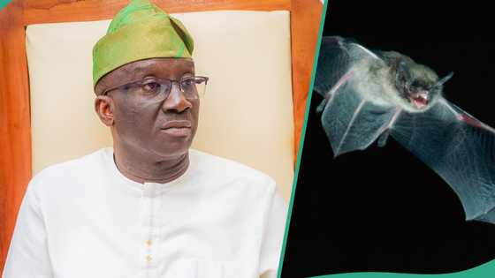 "I met a dead bat on my bed," Governor Okpebholo shares how he won Edo election