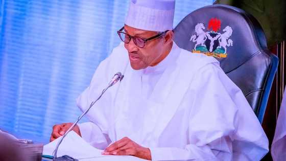 Sheikh Gumi: Buhari Baya Kaunar Najeriya Yadda Nake Sonta