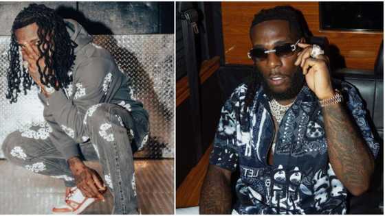 Nigerian social media can say I started Boko Haram: Burna Boy finally reacts after shooting incident