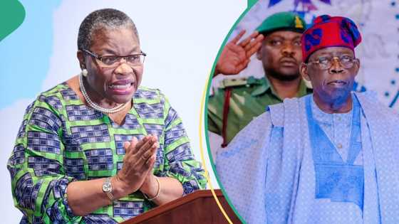 Former minister calls out Tinubu, Senate, others, issues strong warning: “Do not dare”
