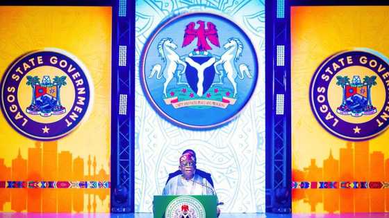 Tinubu Ya Sake Caccakar Emefiele, Ya Yi Batun Canza Naira Domin Hana Shi Cin Zabe