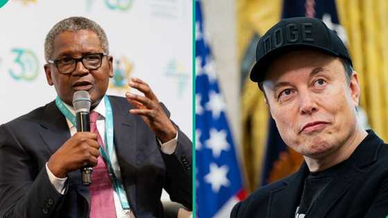 Elon Musk loses, regains world’s richest man title, Dangote gets new ranking