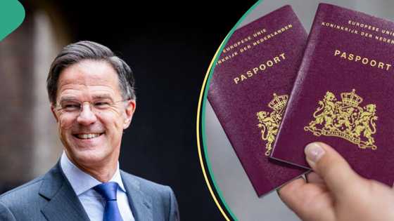 Nigerian billionaires, investors affected as Netherlands ends important visa scheme