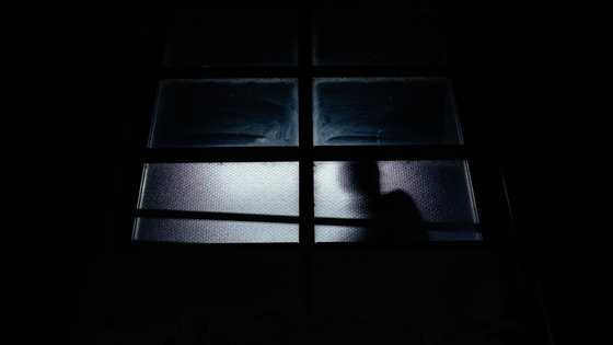 My 5-year-old asked why 'Mr. Richard' comes at night, so I set up a camera