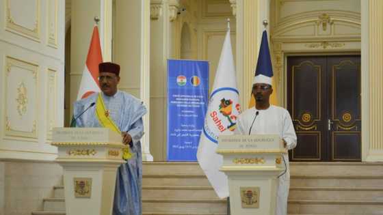 Chad and Niger vow to revive West Africa's anti-jihadist force
