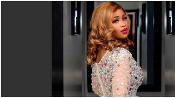 In case you forgot: BBNaija Princess reminds fans she's fearless with bold fashion statement