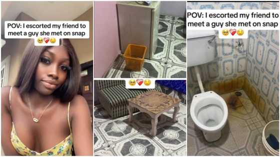 Lady's friend meets man online, they both visit his house, video of dirty bathroom trends