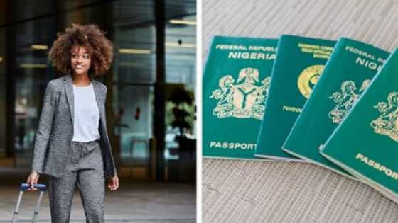 Japa: Immigration lists causes of passport delays as Nigerian passport ranks low globally