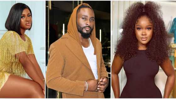 BBNaija Pere plots with other male housemates to ensure CeeC & Alex get disqualified: "I want them to fight"