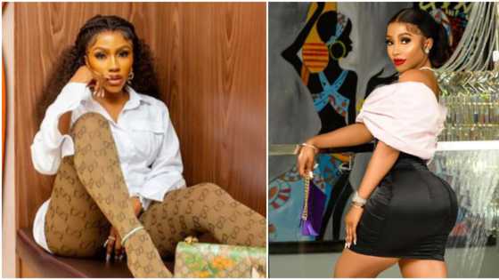 "Go ahead and spoil me": Mercy Eke says as lover showers her with expensive gifts after small fight