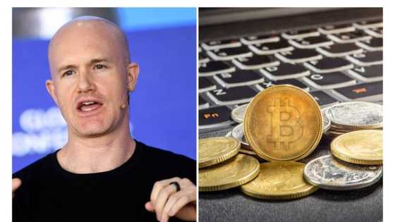 Binance CEO: I Don't have money in any currency, only in crypto