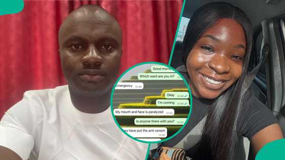 Snakebite: Man's last WhatsApp chat with singer Ifunanya shortly before she died moves many to tears