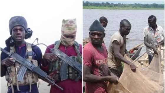 Bayan shan ragargaza daga sojoji, Boko Haram da ISWAP sun sanyawa jama'a haraji