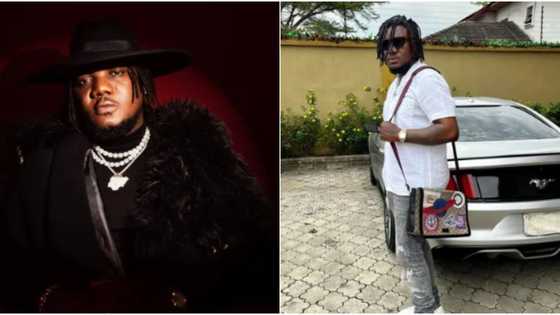 "How did we get here, what happened to our currency, are our rulers human?" CDQ examines Nigeria's situation