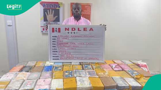 Breaking: NDLEA arrests socialite KC Luxury, seizes 184kg of illicit drugs from Lagos courier firm