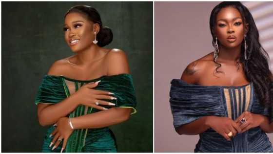 Style steal: Gorgeous photos of BBNaija stars Cee-C and Ka3na in similar recreations
