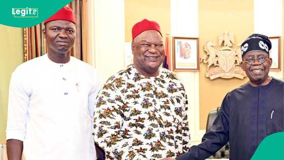 Tinubu: List of ex-senate presidents, former lawmakers APC govt recently gave appointments