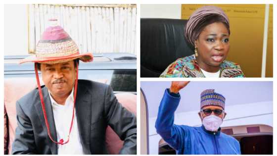 Why I didn't call Abike Dabiri-Erewa for Buhari's safety in UK - Ex-senator reveals