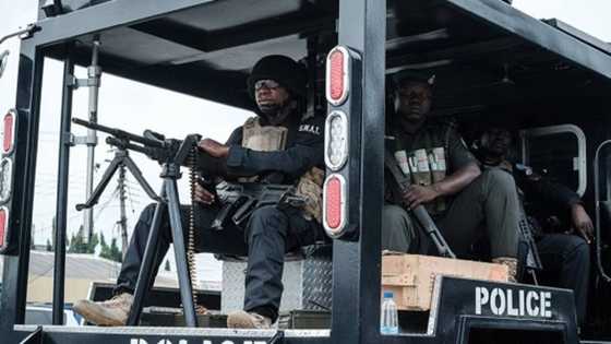 Kwana dubu na barawo: Dubun masu garkuwa da mutane ta cika a jahar Adamawa