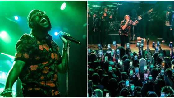 "Had the best time with all of you": Davido hails abroad fans after amazing show in New York, set for London