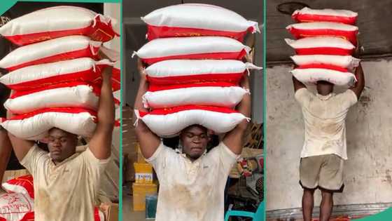 Nigerian man hustling at warehouse carries 5 bags of rice on his head during offloading