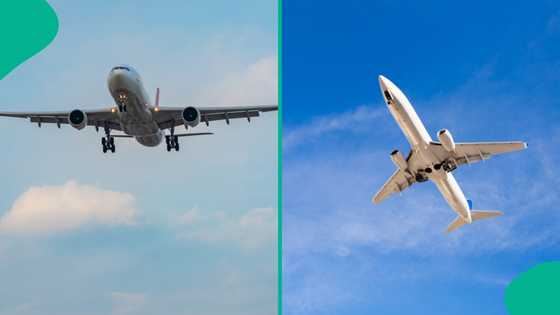 Wreckage of missing passenger plane found as 50 occupants are feared dead